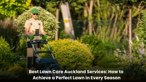 Professional lawn care in Auckland with a lush green lawn maintained through every season using expert mowing, fertilising, and lawn maintenance techniques. Select 78 more words to run Humanizer.