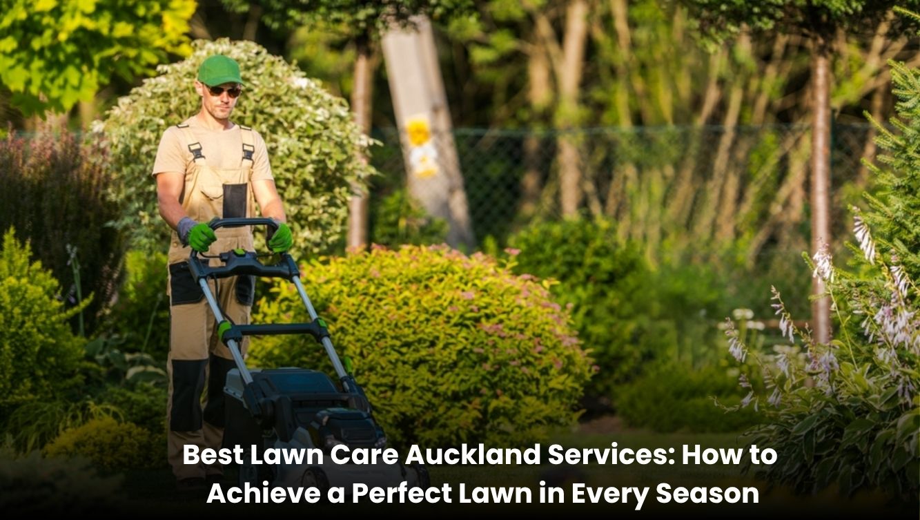 Professional lawn care in Auckland with a lush green lawn maintained through every season using expert mowing, fertilising, and lawn maintenance techniques. Select 78 more words to run Humanizer.