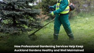 Professional gardening services maintaining a healthy Auckland garden