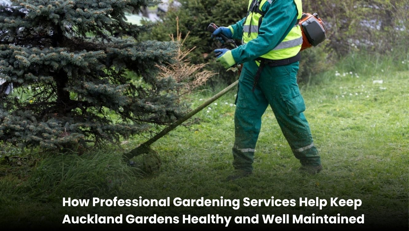 Professional gardening services maintaining a healthy Auckland garden