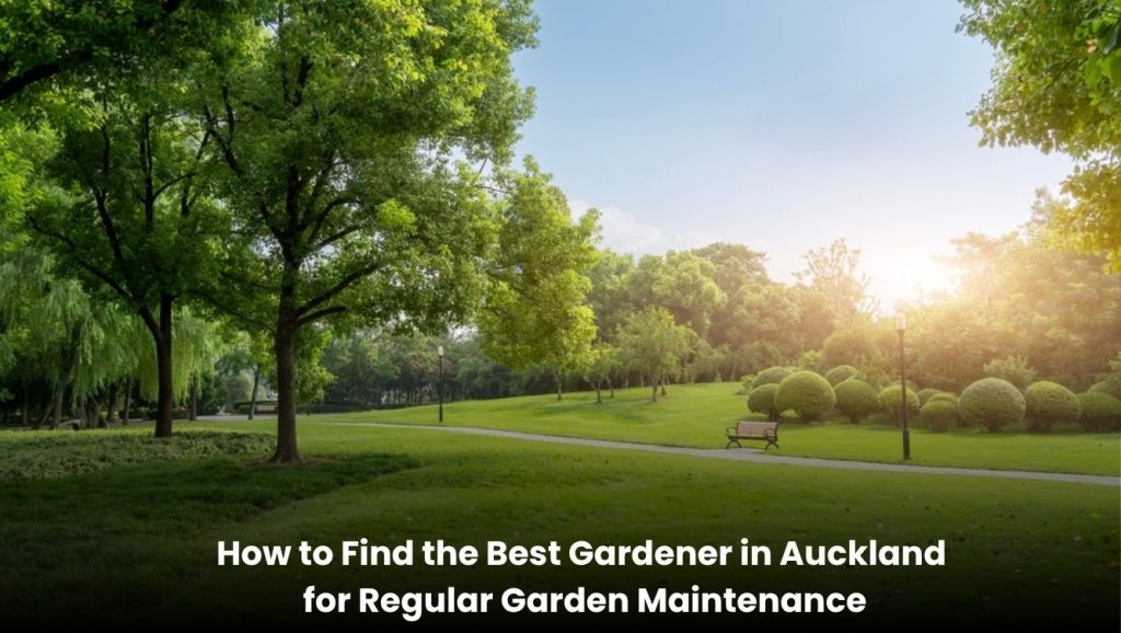Professional gardener providing regular garden maintenance in Auckland