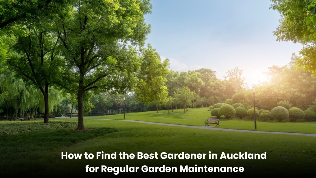 Professional gardener providing regular garden maintenance in Auckland