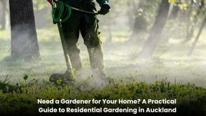 Residential gardener maintaining a home garden in Auckland