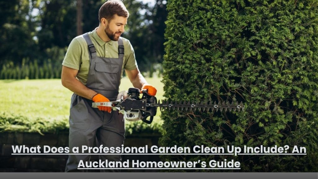 What Does a Professional Garden Clean Up Include? An Auckland Homeowner’s Guide