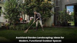 Modern Auckland garden landscaping with functional outdoor living space, garden planting, paving and stylish landscape design.