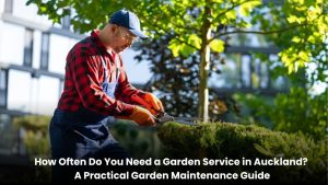 Garden maintenance service in Auckland keeping a residential outdoor space neat and healthy