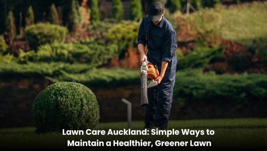 Healthy green lawn maintained with professional lawn care in Auckland