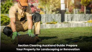 Professional section clearing service in Auckland for landscaping and renovation