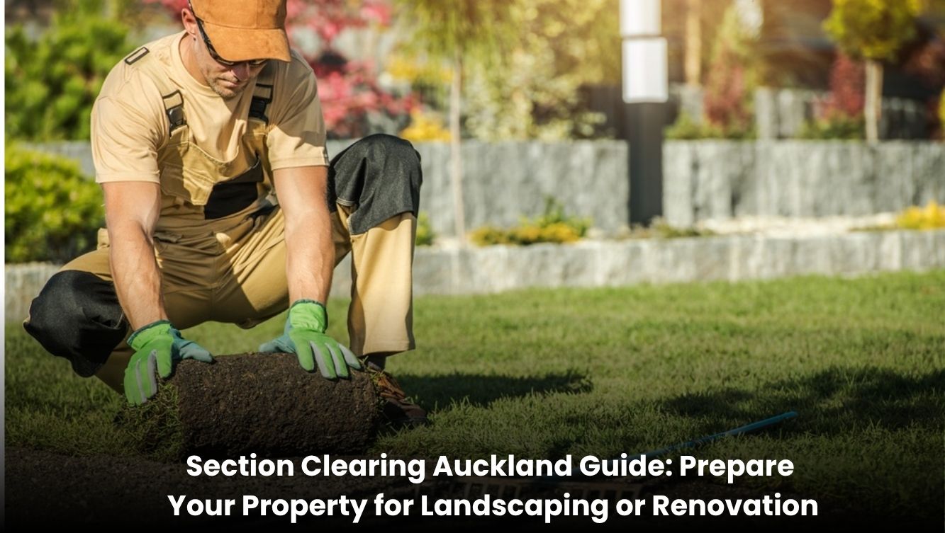Professional section clearing service in Auckland for landscaping and renovation