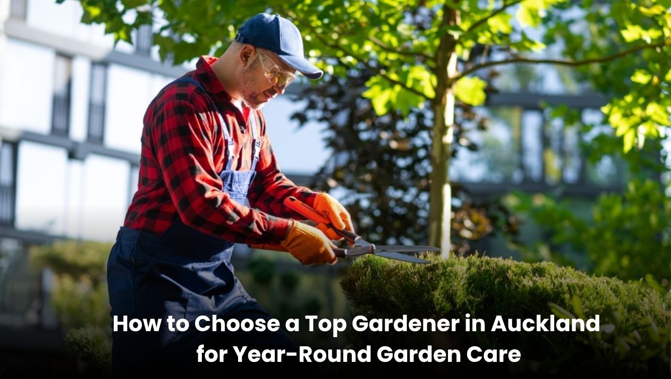 Professional gardener providing year-round garden care and maintenance in Auckland.
